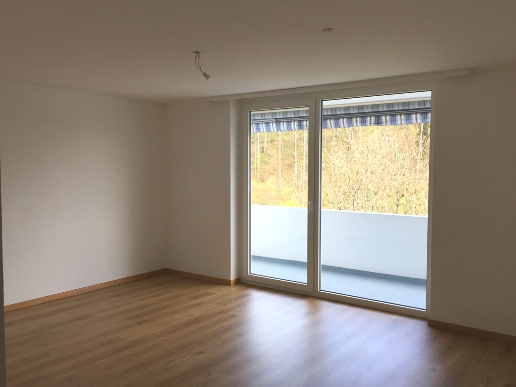 Schöne Wohnung an ruhiger Lage 8200 Schaffhausen 8200 Schaffhausen