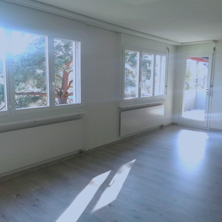 Grosszügige und wunderschöne Wohnung 8212 Neuhausen am Rheinfall 8212 Neuhausen am Rheinfall