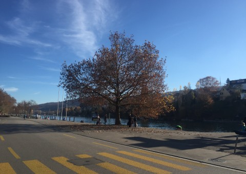 Ankündigung: Wohnüberbauung "Salaia" an unmittelbarer Rheinlage von Schaffhausen. Die geplante Wohnüberbauung umfasst 14 Eigentumswohnungen sowie 14 Garagenplätze.